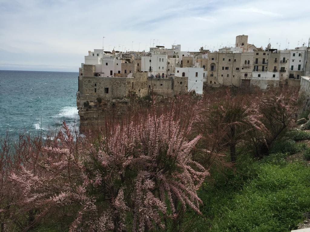 La Casetta 19 Polignano a Mare Værelse billede